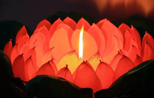 1648813701613278.jpg 847257_1369_1647948040501175111.jpg