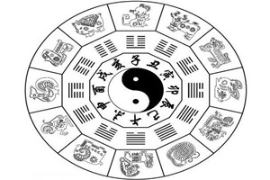 虎和兔属相合不合？哪些属相天生不和？