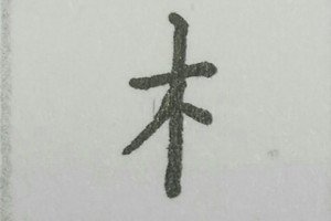 木字旁最吉利的字有哪些？五行缺木怎么办？