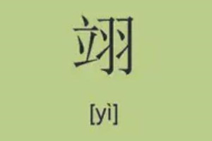 翊字取名男孩有寓意，用翊字取名有什么禁忌？