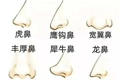 女人六种鼻子好命图鼻子大有福气吗