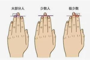 食指比无名指长代表什么意思